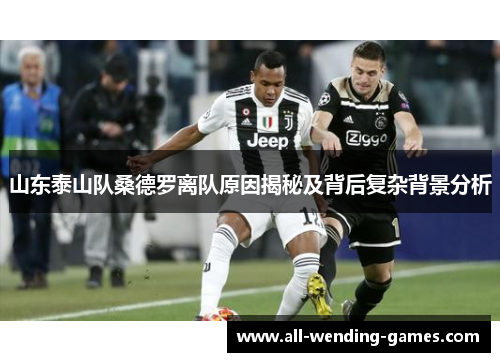 山东泰山队桑德罗离队原因揭秘及背后复杂背景分析
