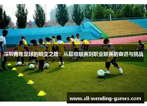 深圳青年足球的蜕变之路：从超级联赛到职业联赛的奋进与挑战